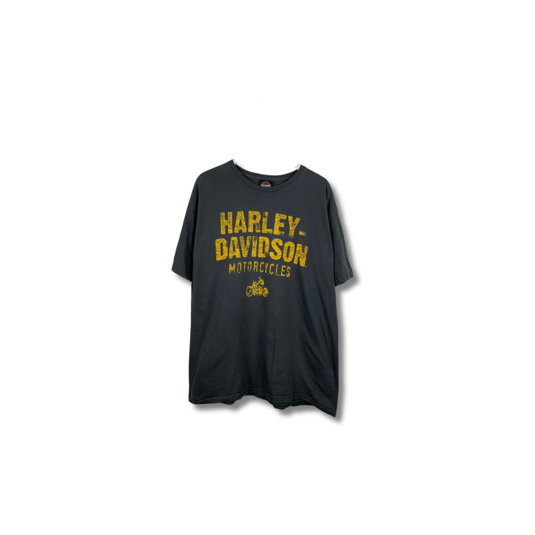 HARLEY DAVIDSON SPELLOUT W/ BIG BACK GRAPHIC - XL ( TALL )