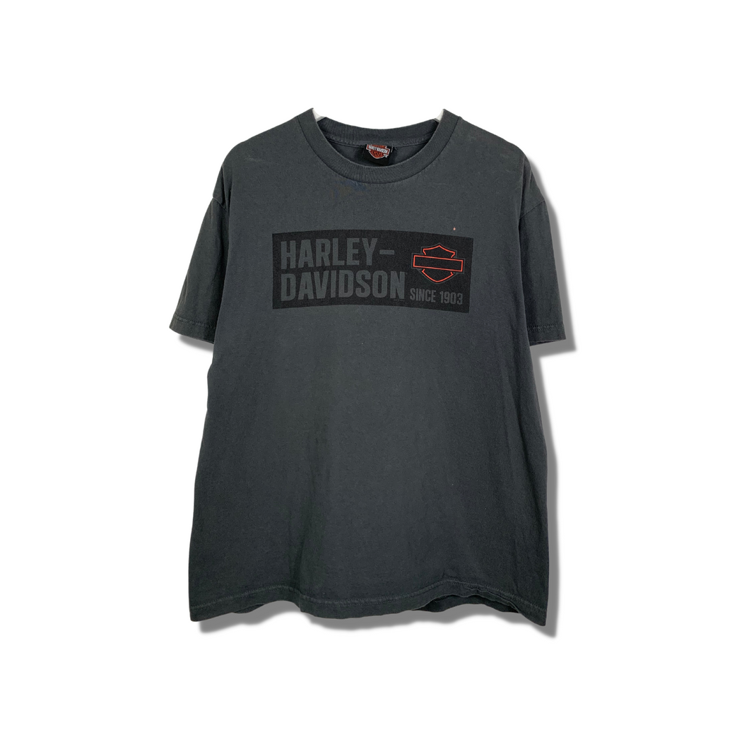 HARLEY DAVIDSON BOX LOGO W/ GRAPHIC ON BACK - MEDIUM