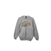 Load image into Gallery viewer, NFL - STEELERS EMBROIDERED CREWNECK - SMALL
